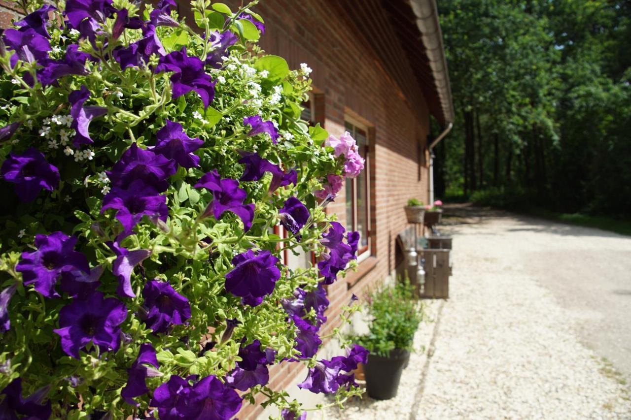 Bed & Breakfast Aan De Beek Arcen Exterior photo